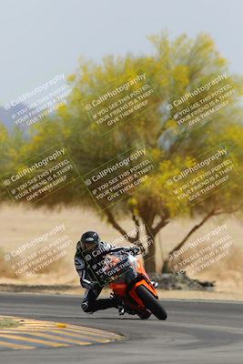 media/Apr-12-2025-Race Pace (Sat) [[9230add55f]]/Vested/6-Turn 4 Tree of Life (115pm)/